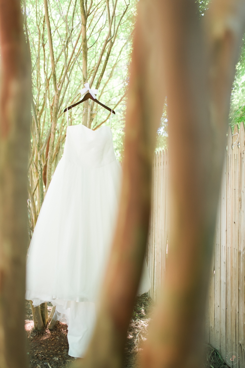 Wedding Dress - Richmond Virginia Wedding - Chronicles Photography_0080