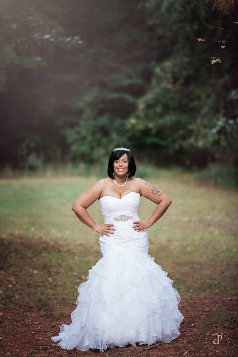 Davids Bridal Collection Wedding Dress. Trumpet Style Wedding Dress, Raleigh NC Wedding