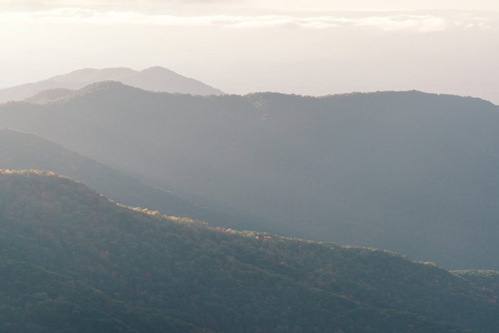 Engagement session in Asheville, NC, The Great Craggy Mountains